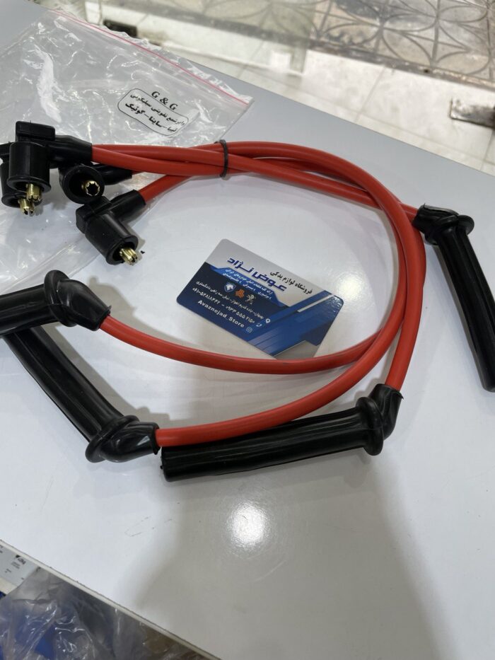 IMG_20240329_020529_991