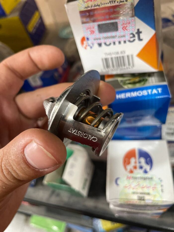 photo_2025-07-23_20-49-01