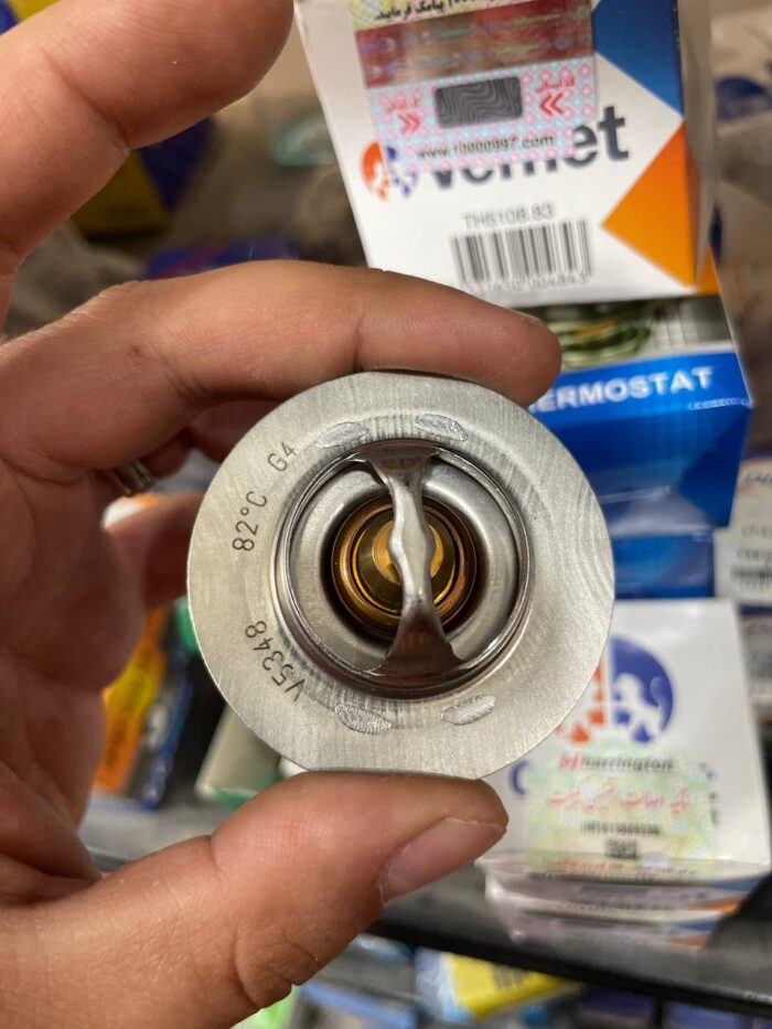 photo_2025-07-23_20-49-04