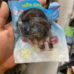 جازغالی استارت قدیم 405 پارس سمند پراید 2 ذغاله 3 پیچ برند الیت خارجی